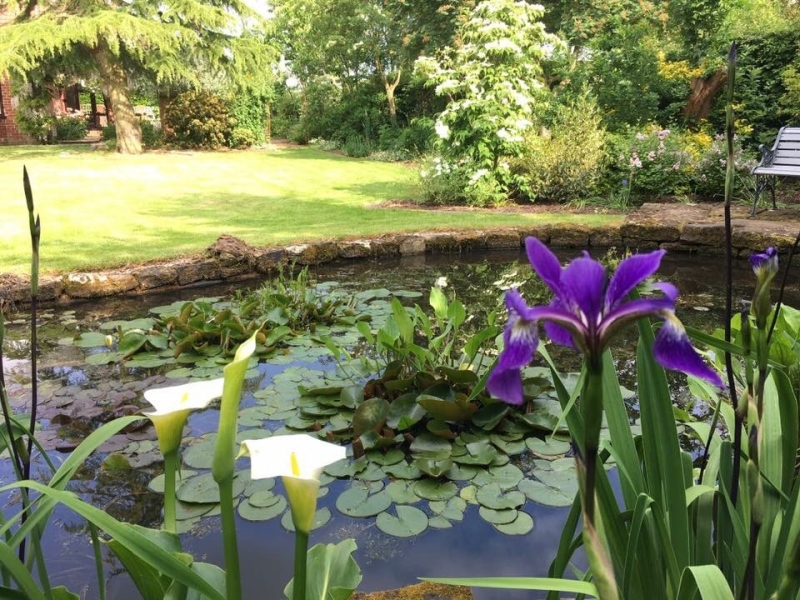 Primrose Bank Garden and Nursery